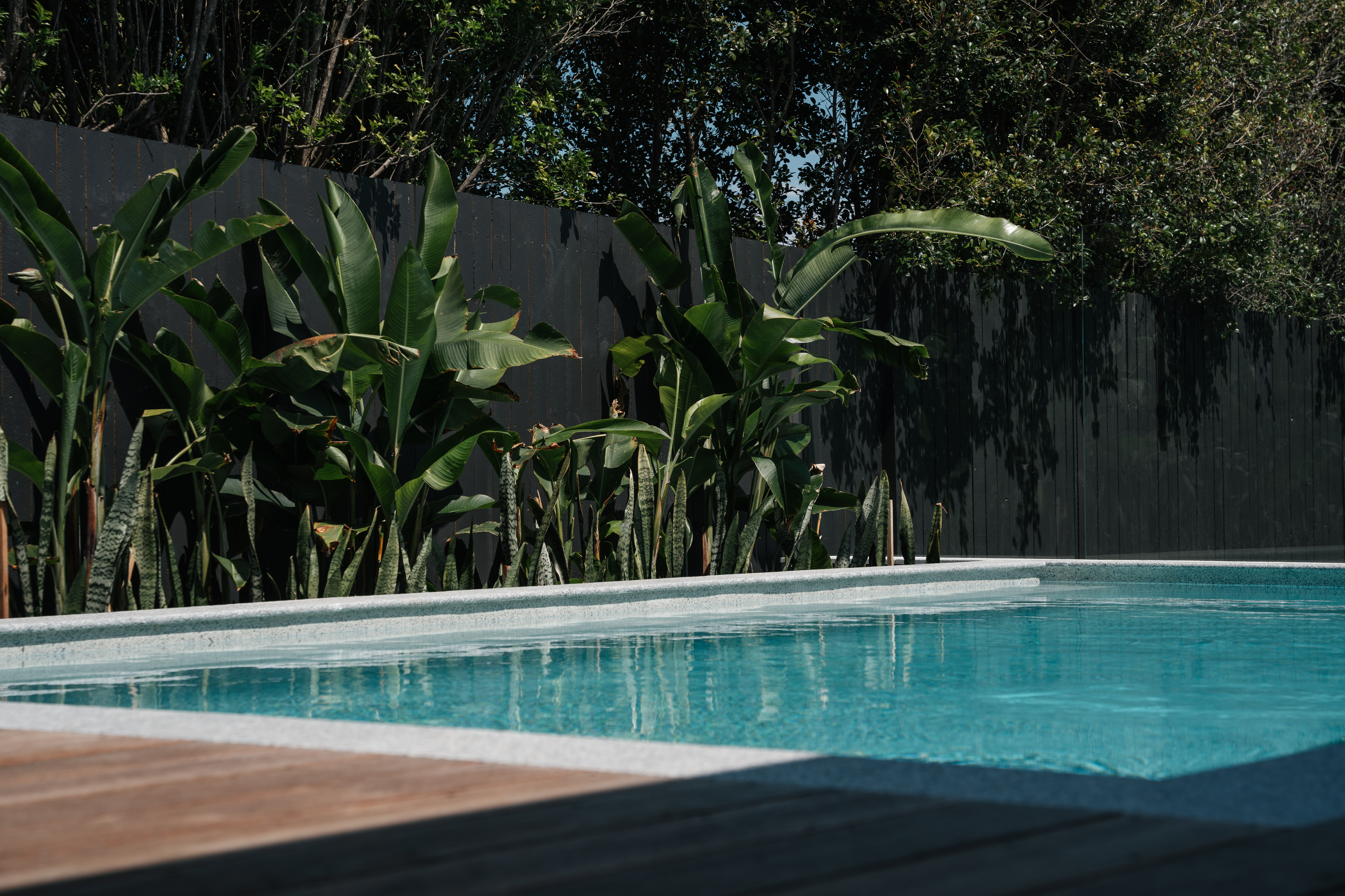 Aroona Pool Detail