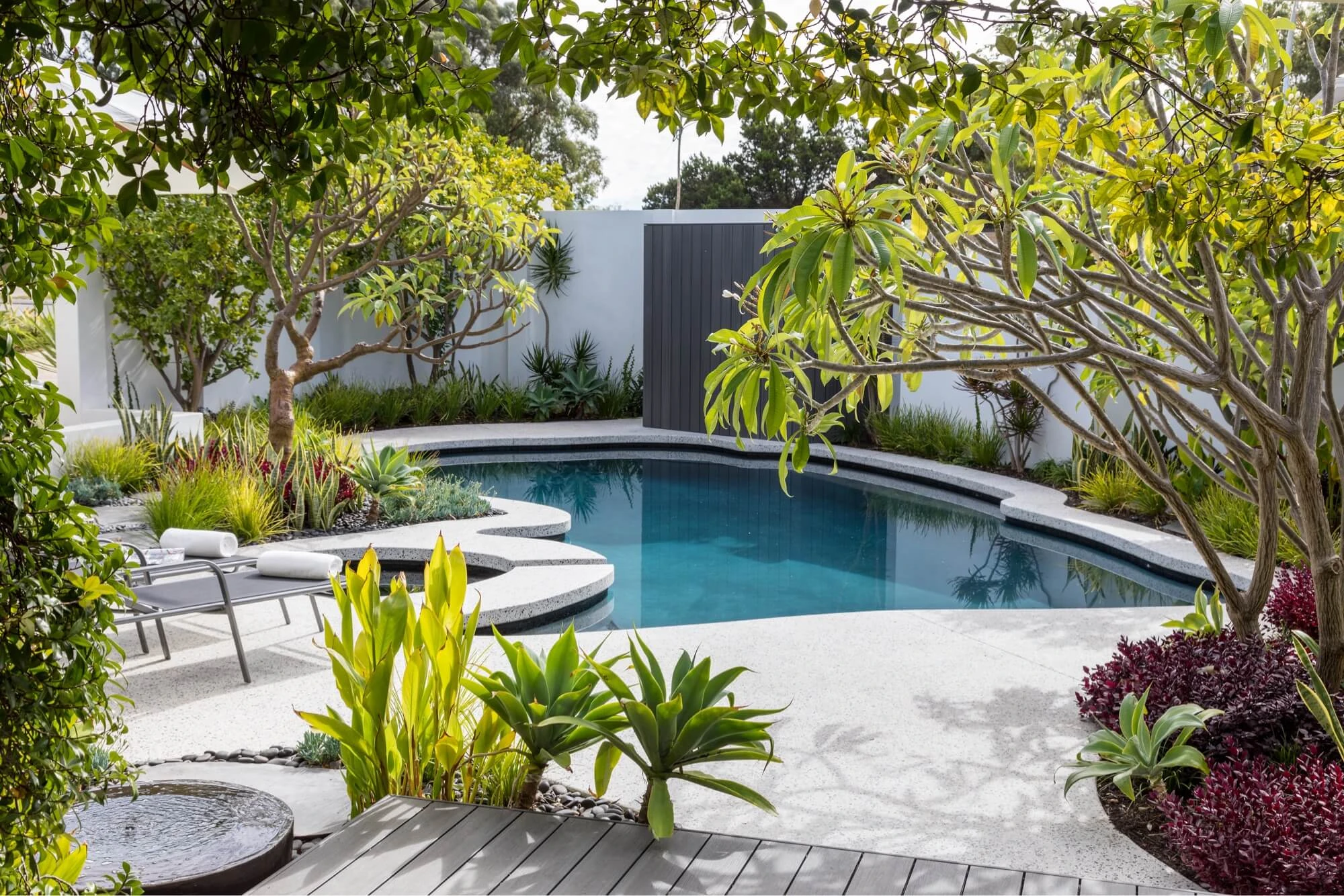 Sunlit backyard swimming pool surrounded by landscaping