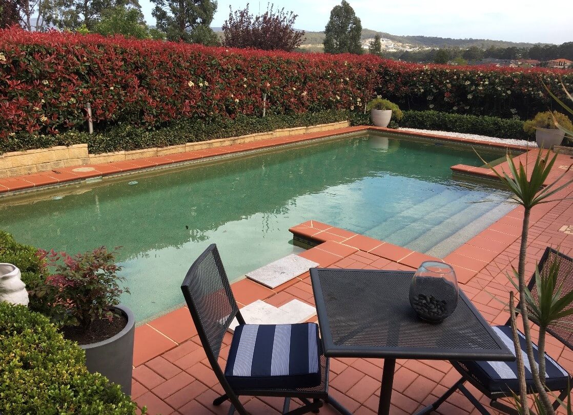 Pool Before Renovation